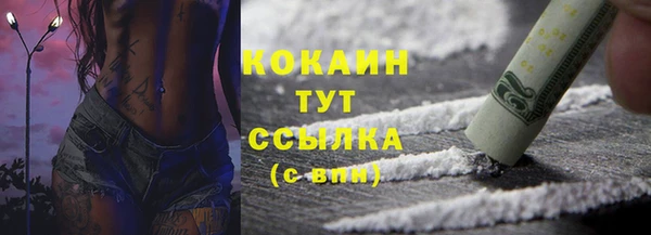 крисы Баксан