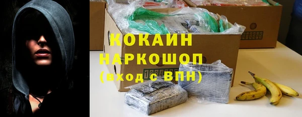 крисы Баксан