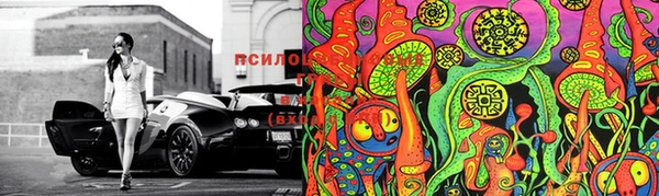 PSILOCYBIN Арсеньев
